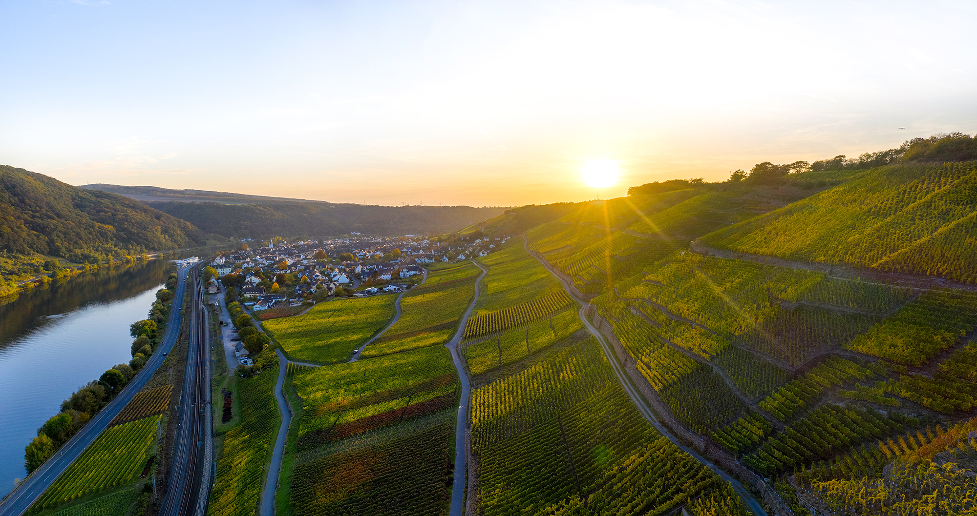 Traditionelle Weinherstellung in Winningen vom Weingut Hess-Hautt